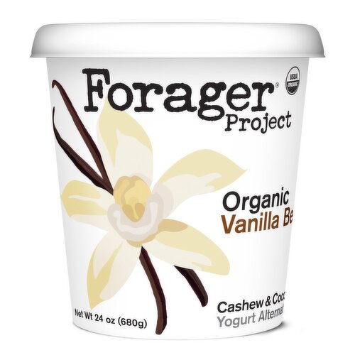 Forager Project Organic Vanilla Bean Cashew & Coconut Yogurt Alternative, 24 oz