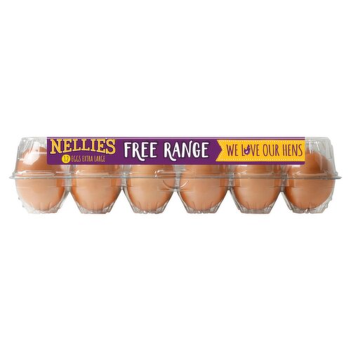 Nellie's Fresh Brown Free Range Eggs, Extra Large, 12 count, 27 oz