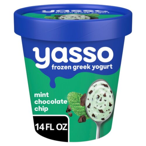Yasso Mint Chocolate Chip Frozen Greek Yogurt, 14 fl oz