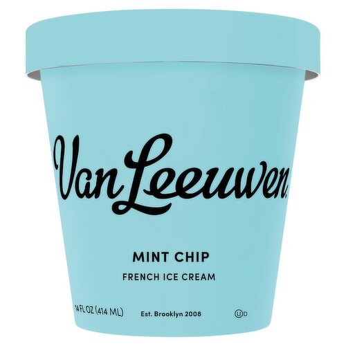 Van Leeuwen Mint Chip French Ice Cream, 14 fl oz