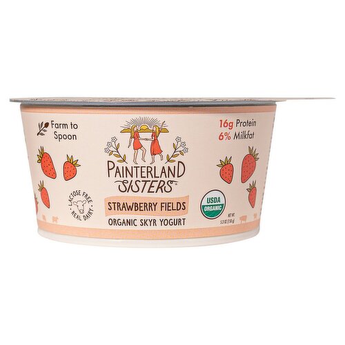 Painterland Sisters Strawberry Fields Organic Skyr Yogurt, 5.3 oz