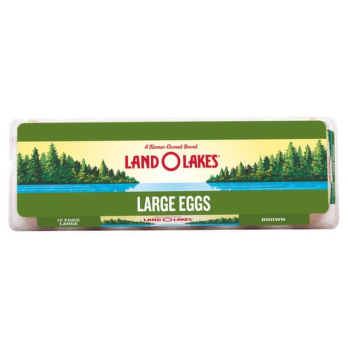 Land O Lakes Brown Eggs, Large, 12 count