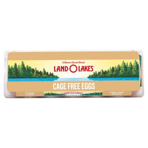 Land O Lakes Cage Free Brown Eggs, Large, 12 count