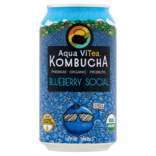 Aqua ViTea Blueberry Social Kombucha, 12 fl oz