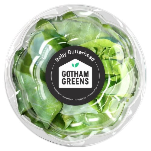 Gotham Greens Baby Butterhead