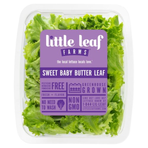 Little Leaf Farms Sweet Baby Butter Leaf