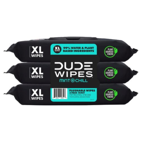 DUDE Wipes Mint Chill with Mint & Eucalyptus Oils XL Flushable Wipes, 48 count