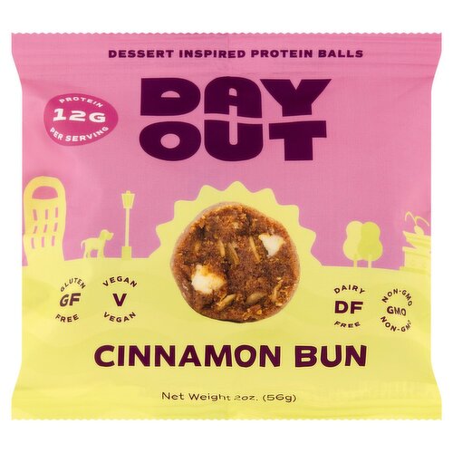 Day Out Cinnamon Bun Dessert Inspired Protein Balls, 2 oz