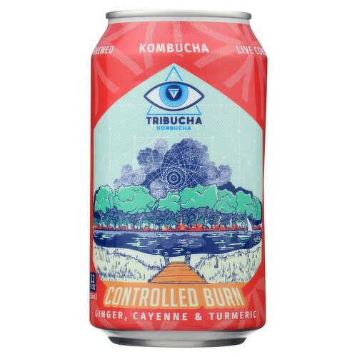 Tribucha Controlled Burn Ginger, Cayenne & Turmeric Kombucha, 12 fl oz