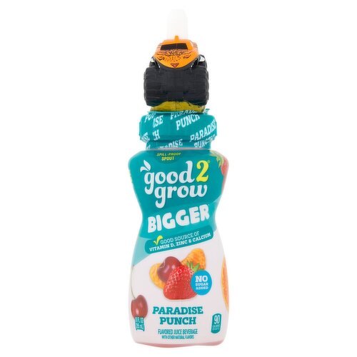 Good2grow Bigger Paradise Punch No Added Sugar Flavored Juice Beverage, 10 fl oz