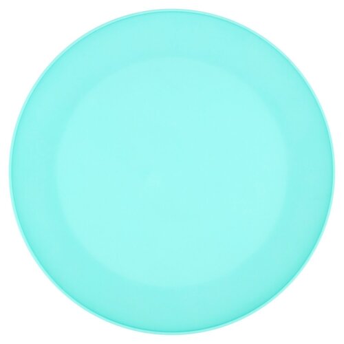 10.25 Inch Plastic Plate