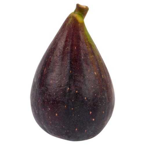 Fresh Black Mission Figs, each
