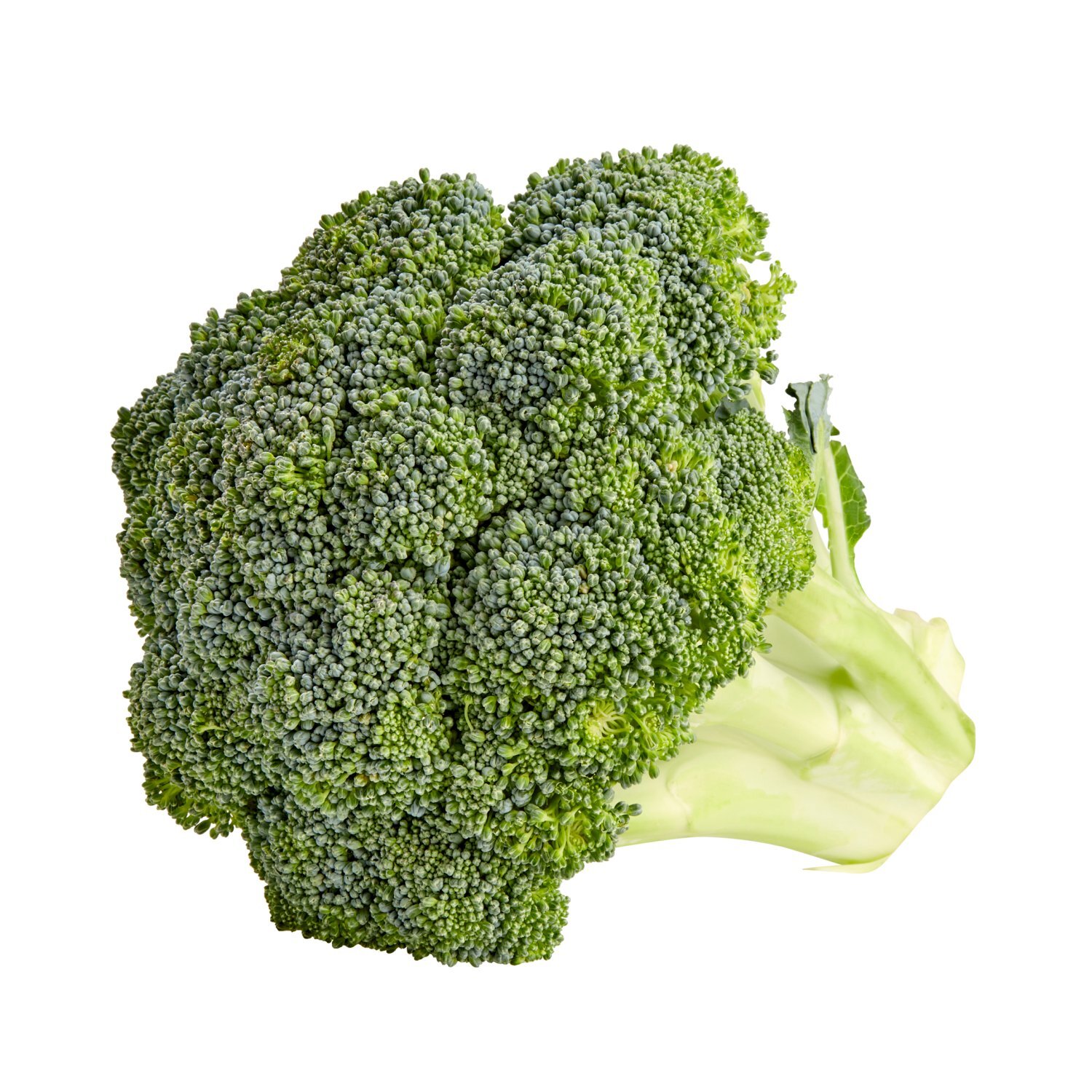 Fresh Broccoli Crowns Image 1 of 4