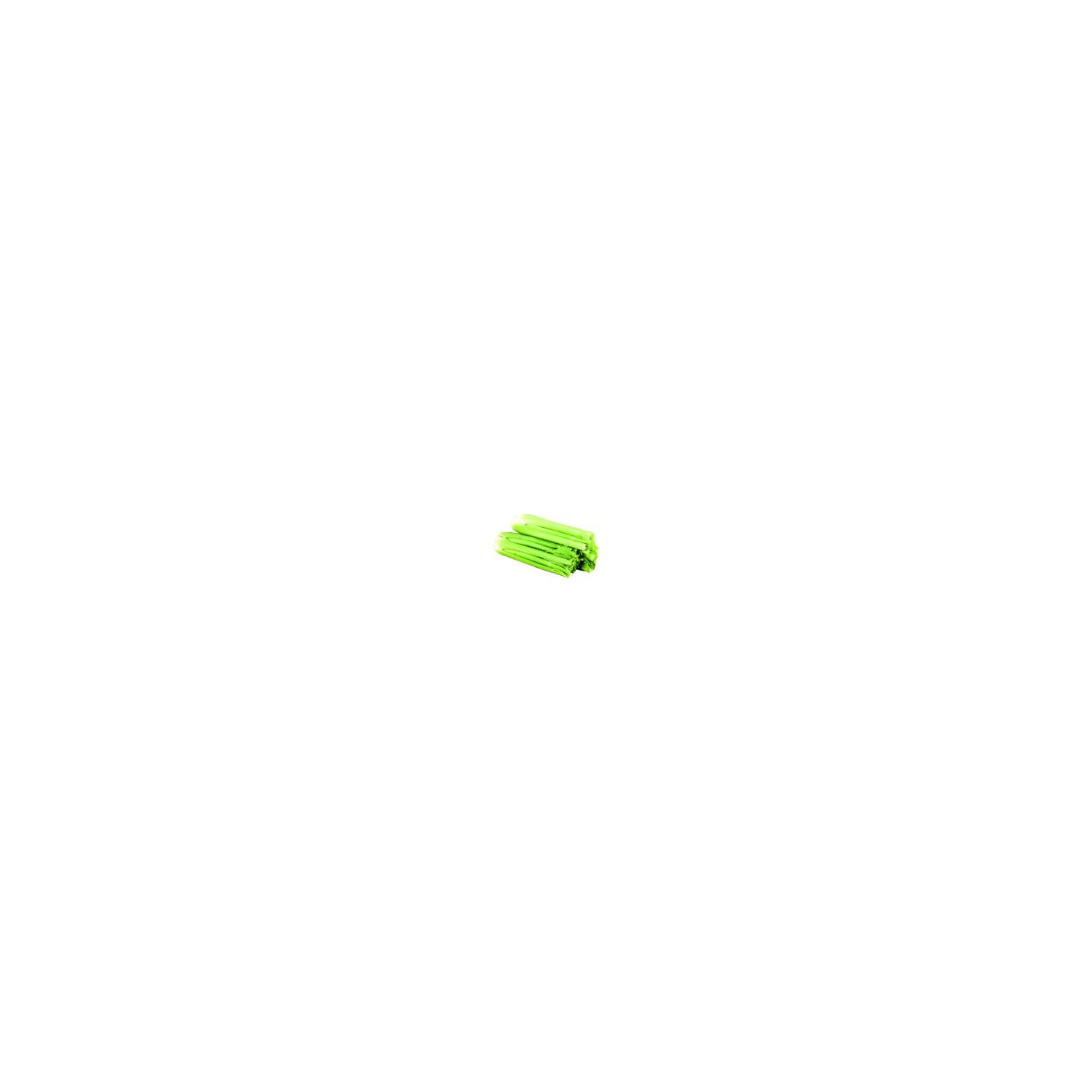 Fresh Celery Cabbage