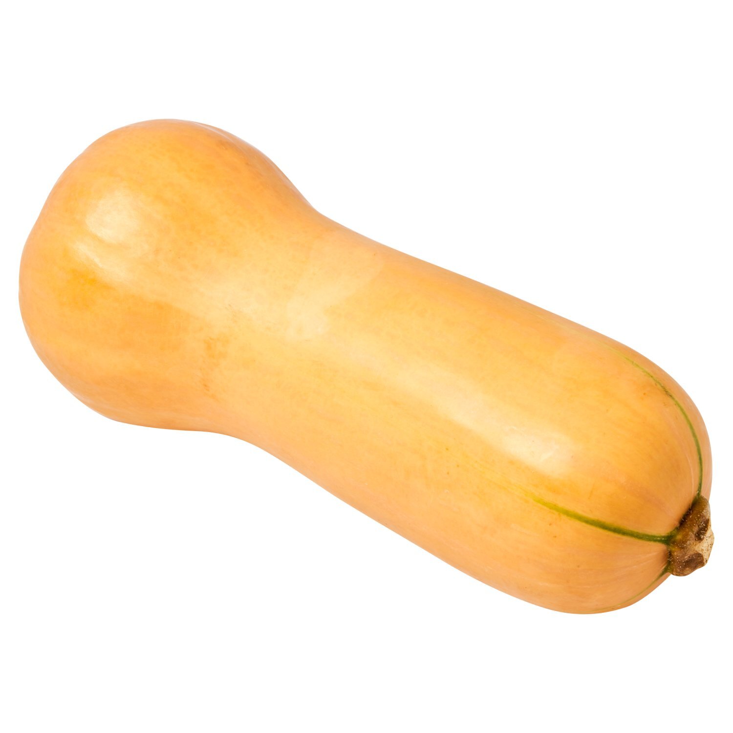 Fresh Butternut Squash Image 1 of 5