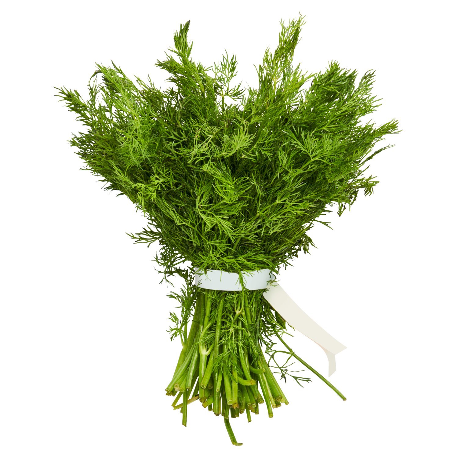 Fresh Dill, bunch Image 1 of 4