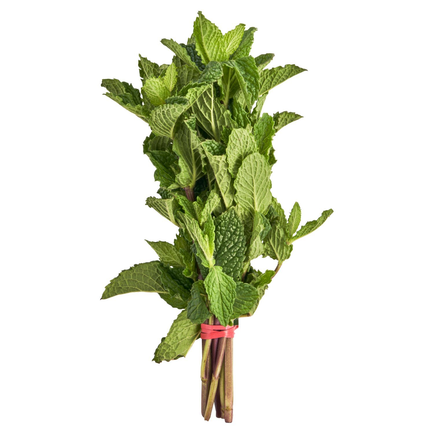 Fresh Mint, bunch Image 1 of 4