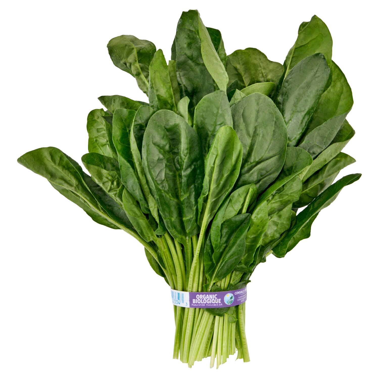 Fresh Organic Spinach, bunch Image 1 of 4