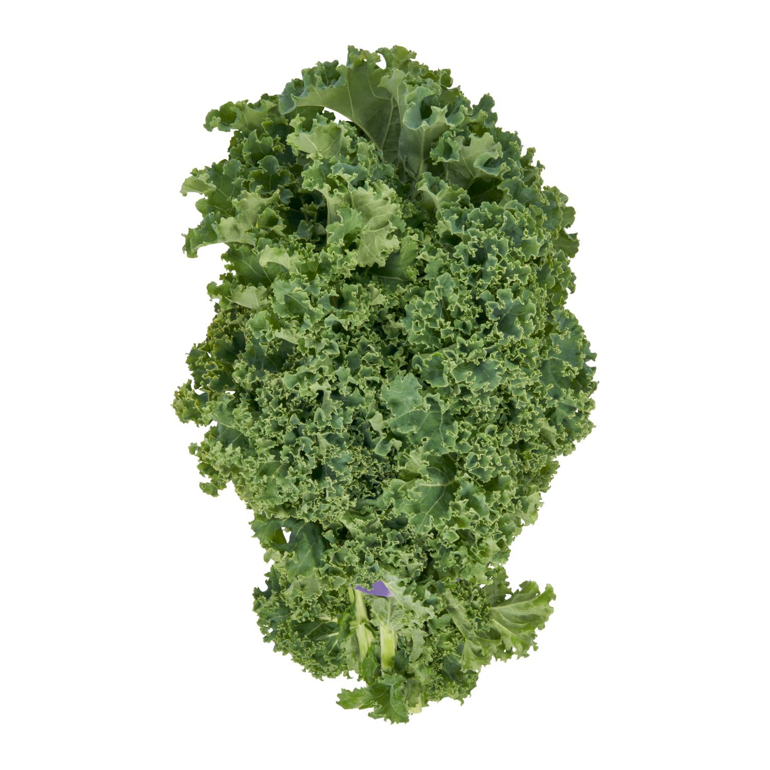 Fresh Organic Green Kale, bunch Image 1 of 4