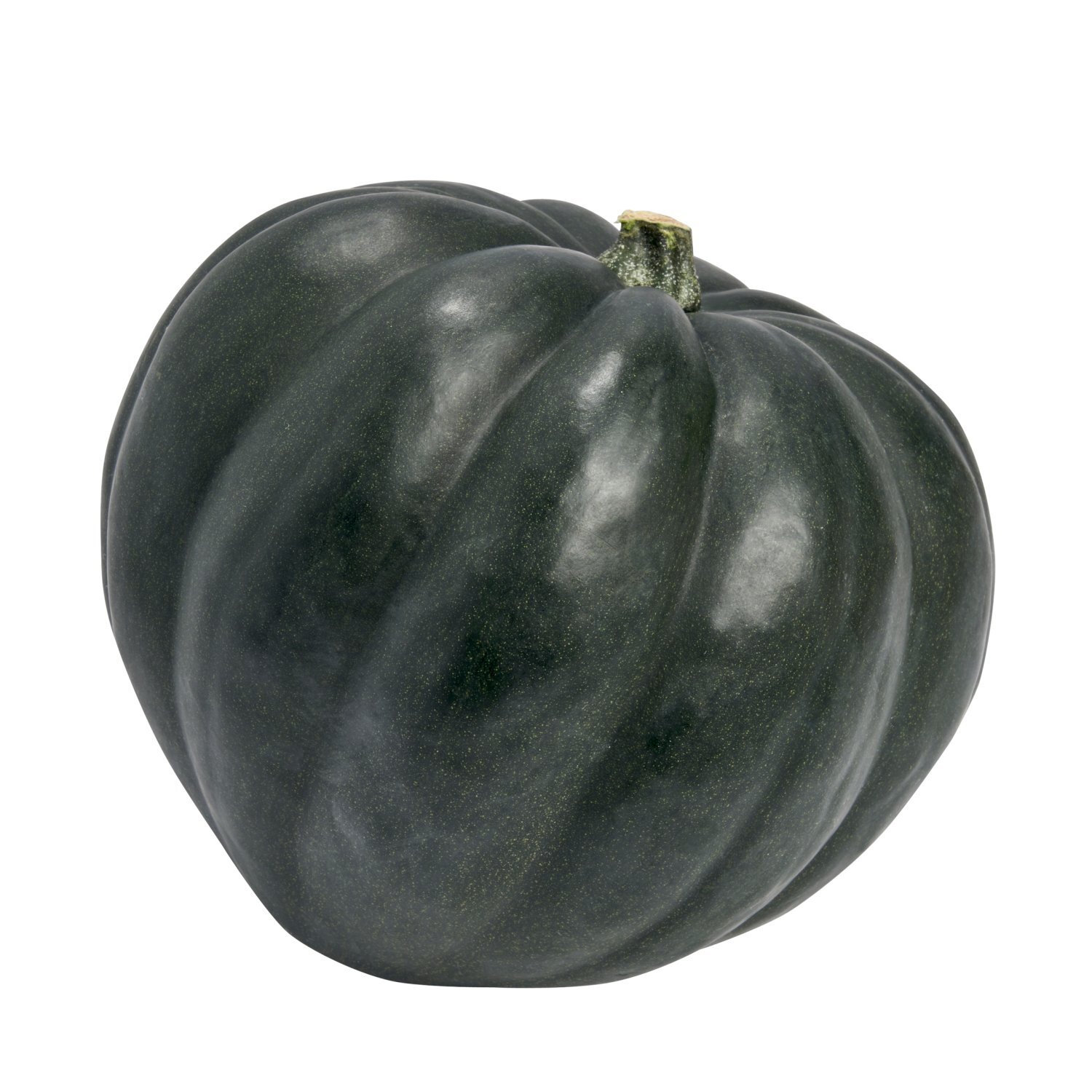 Fresh Organic Acorn Squash Image 1 of 5