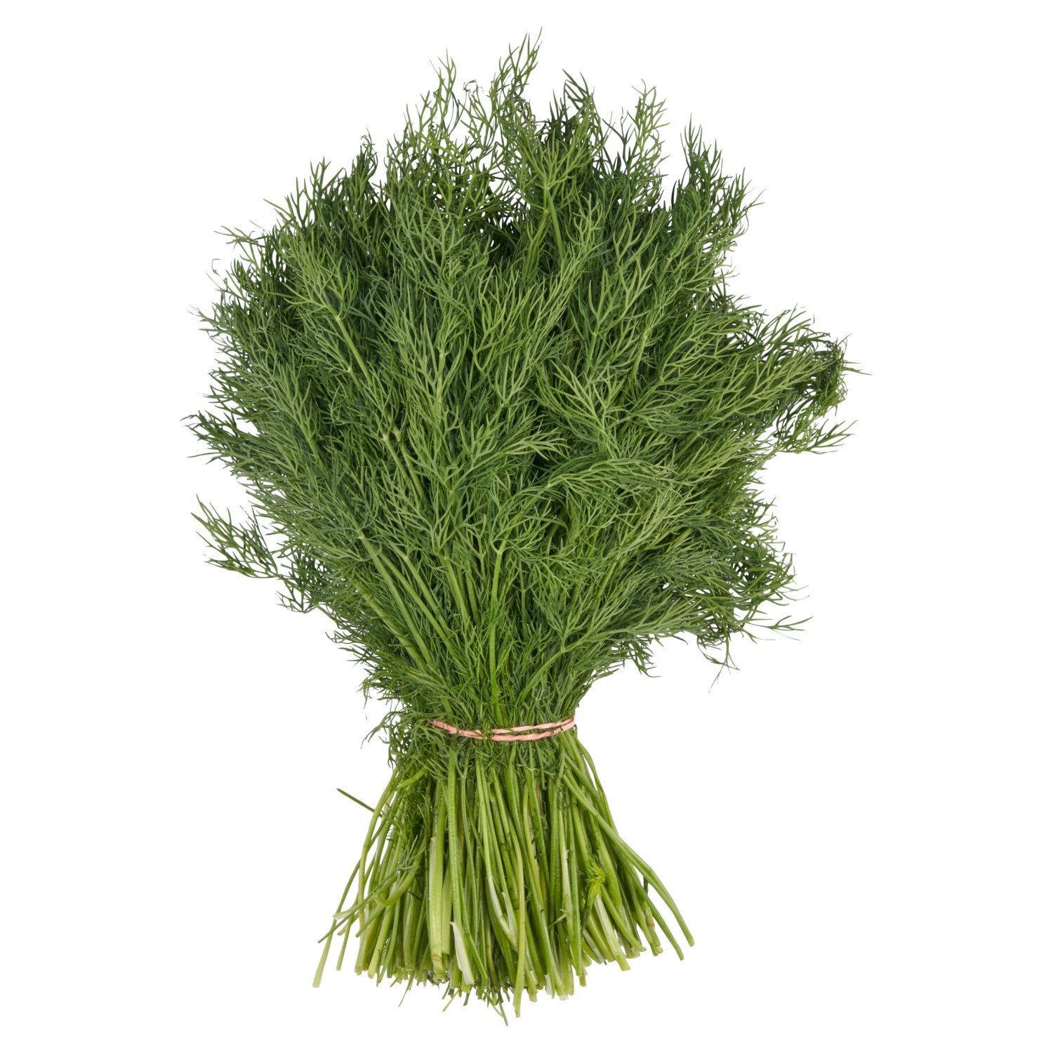 Fresh Organic Dill, bunch Image 1 of 4