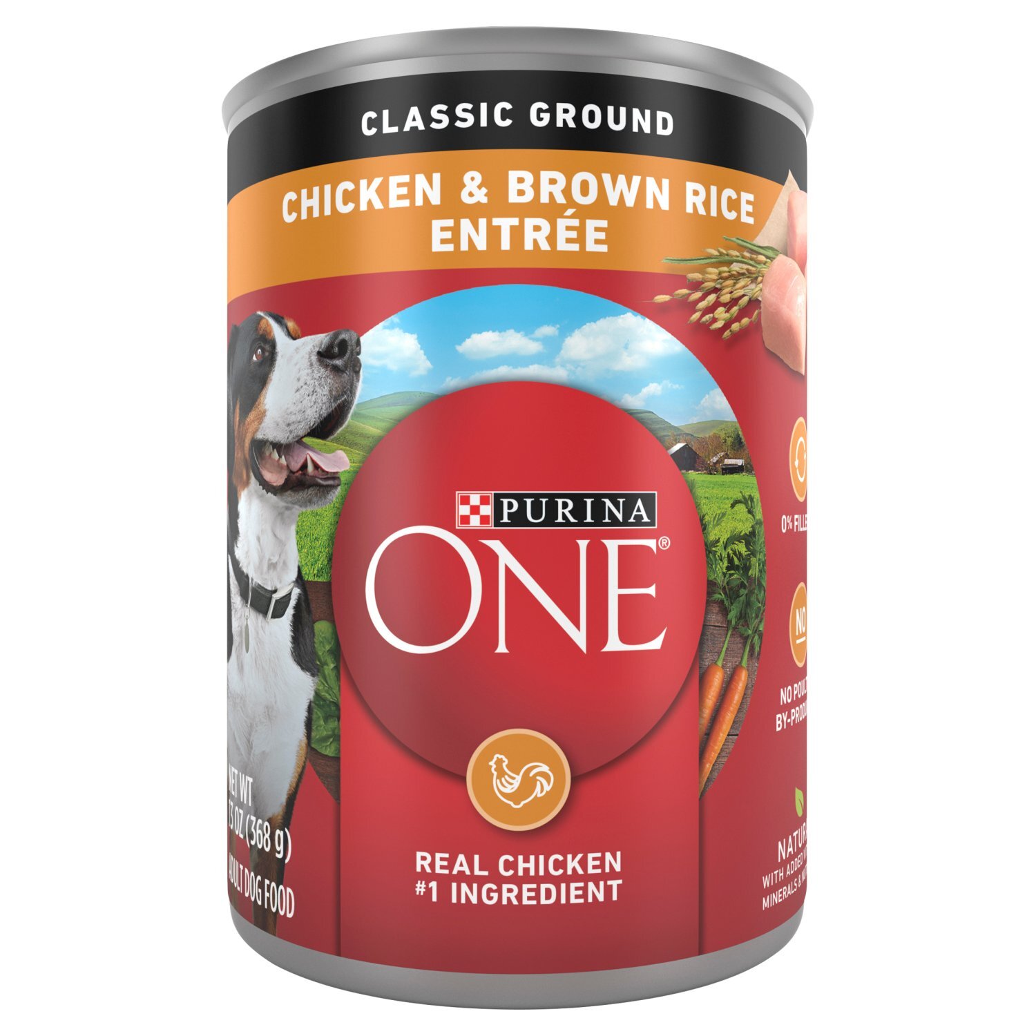 Purina ONE Classic Ground Chicken & Brown Rice Entrée Adult Dog Food, 13 oz Image 1 of 5