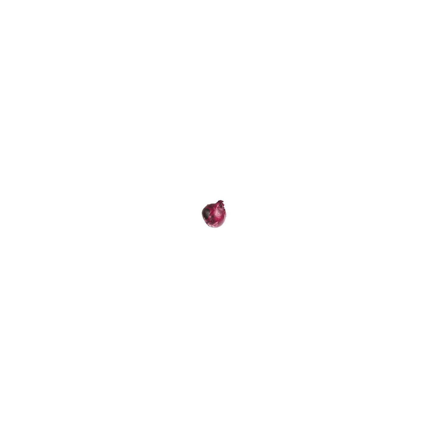 Fresh Red Onions, 2 lb bag