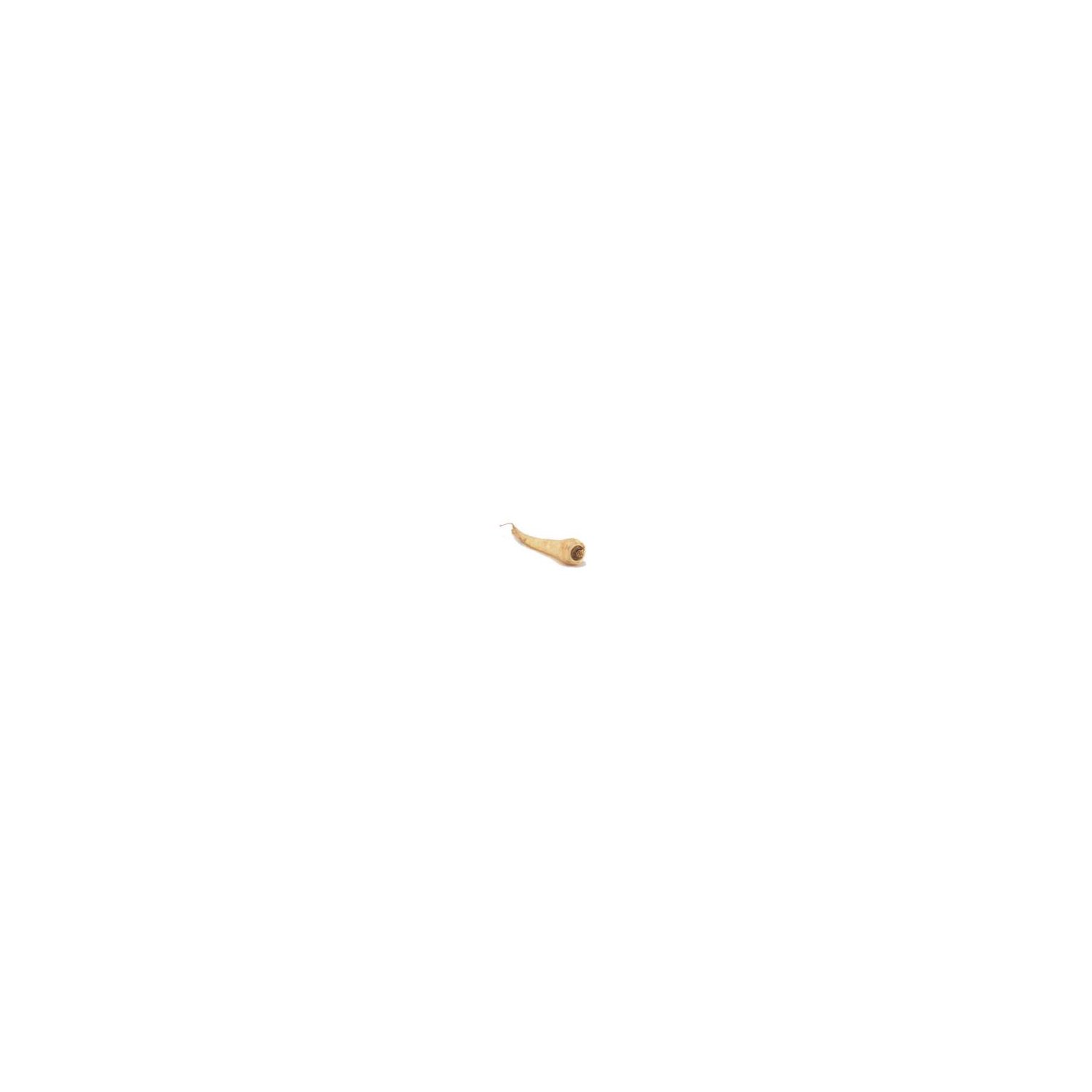Fresh Parsnips, 16 oz