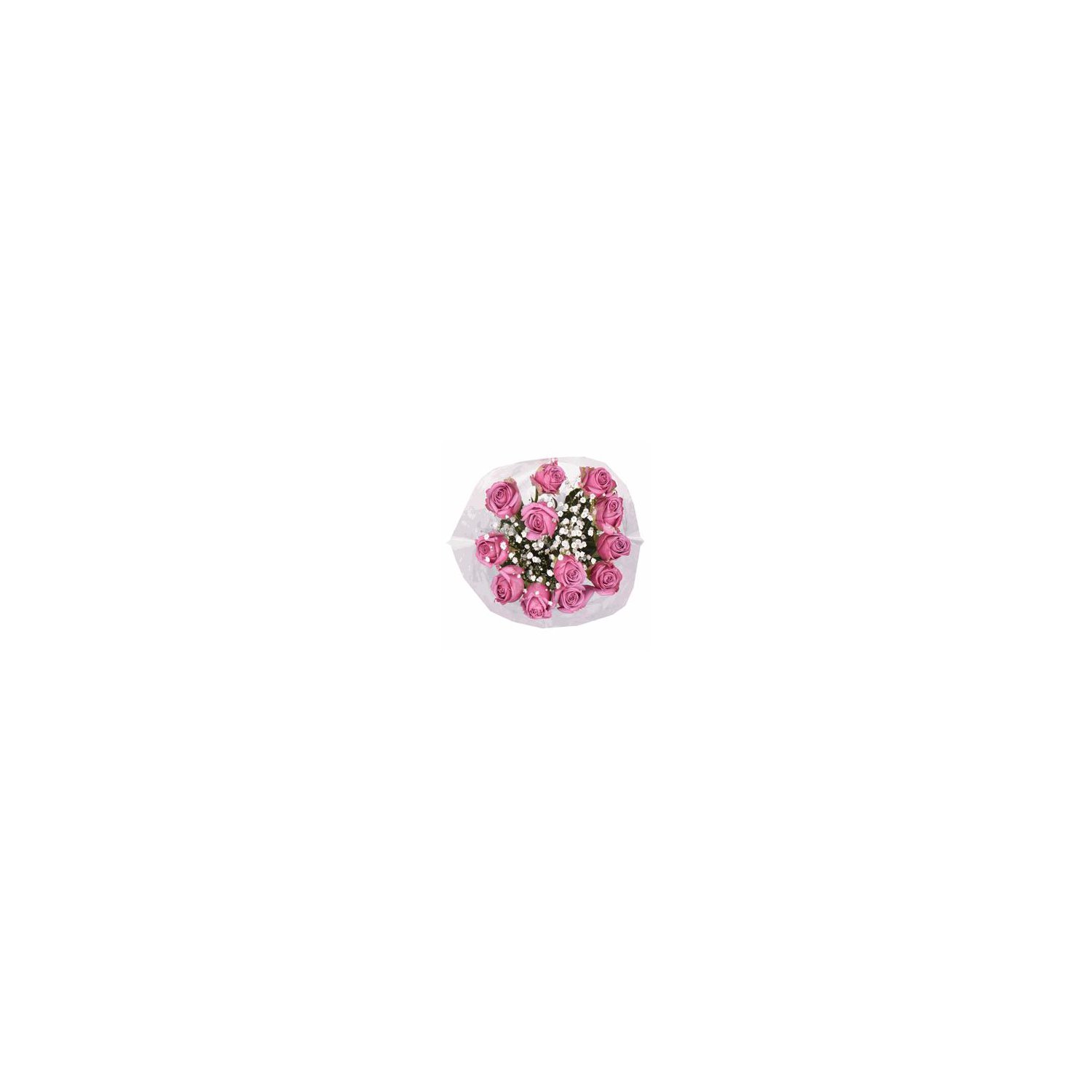 The Floral Shoppe Dozen Pink Rose Bouquet