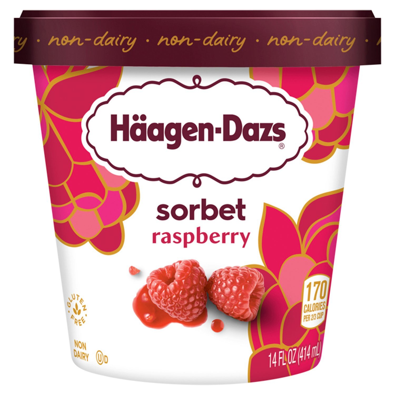 Häagen-Dazs の「「蓋」」 ハーゲンダッツの蓋 【公式通販】