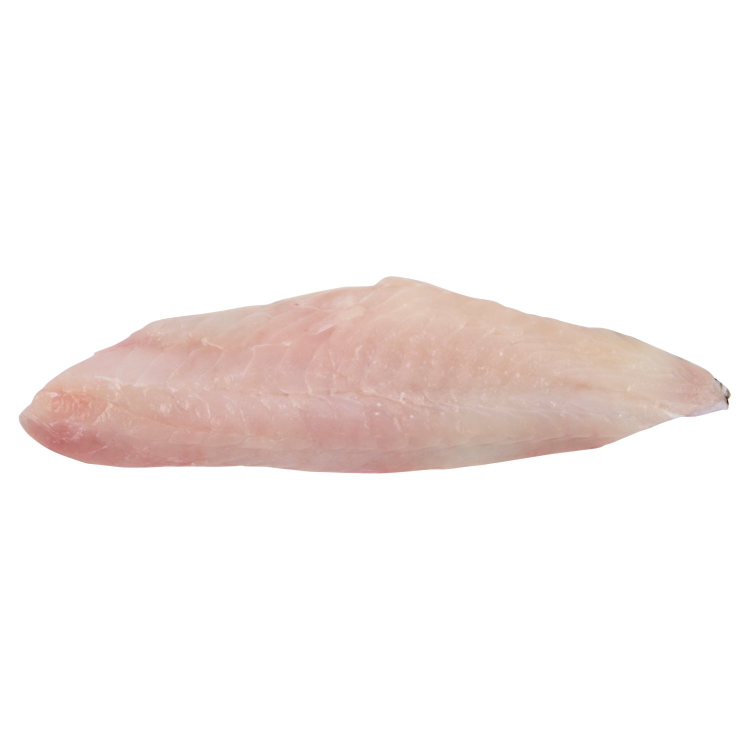 Black Sea Bass Fillet Image 1 of 5