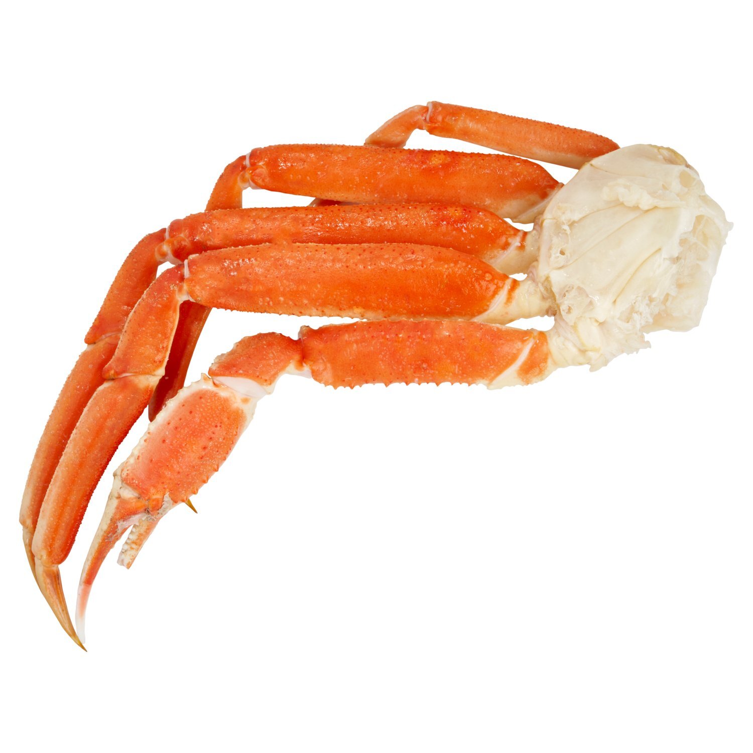 Fresh Cooked Snow Crab Clusters, Large, 5-8oz - Fairway