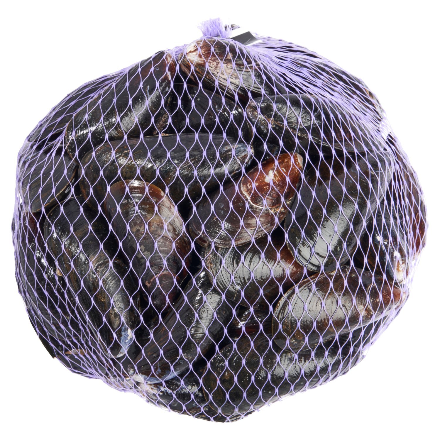 Organic Prince Edward Island Mussels Image 1 of 6