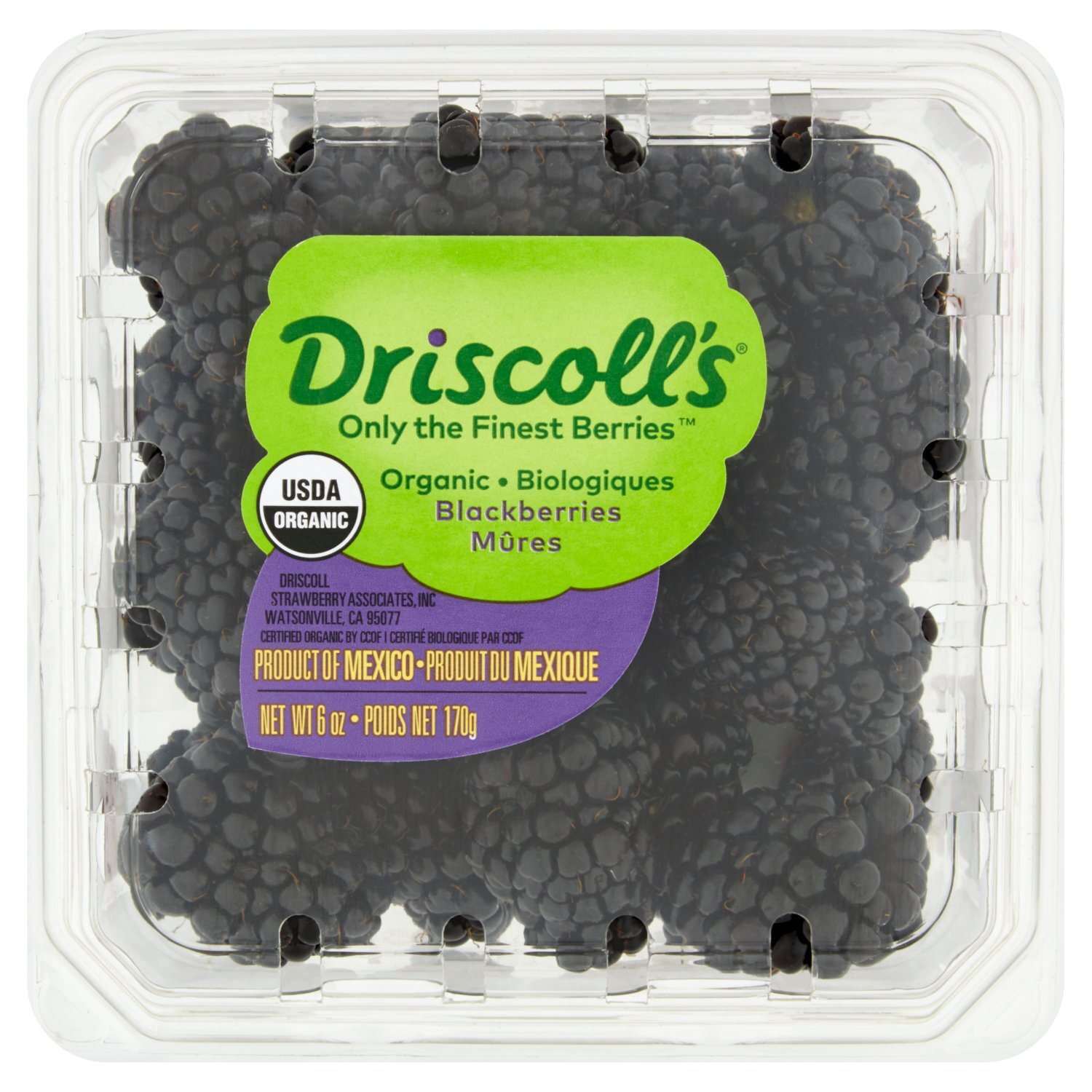 Driscoll's Organic Blackberries, 6 oz - Gourmet