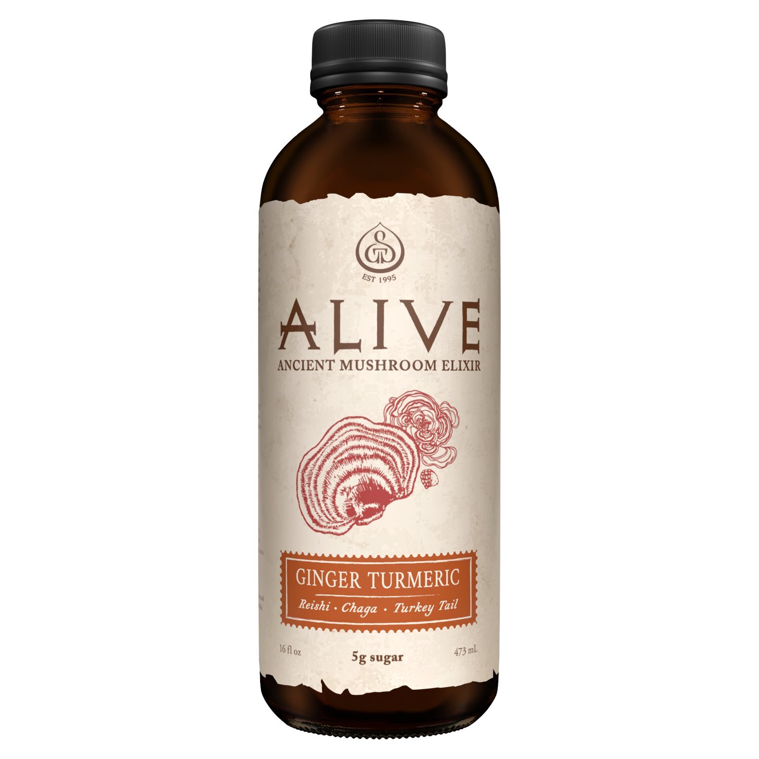 GT's Living Foods Alive Ginger Turmeric Ancient Mushroom Elixir