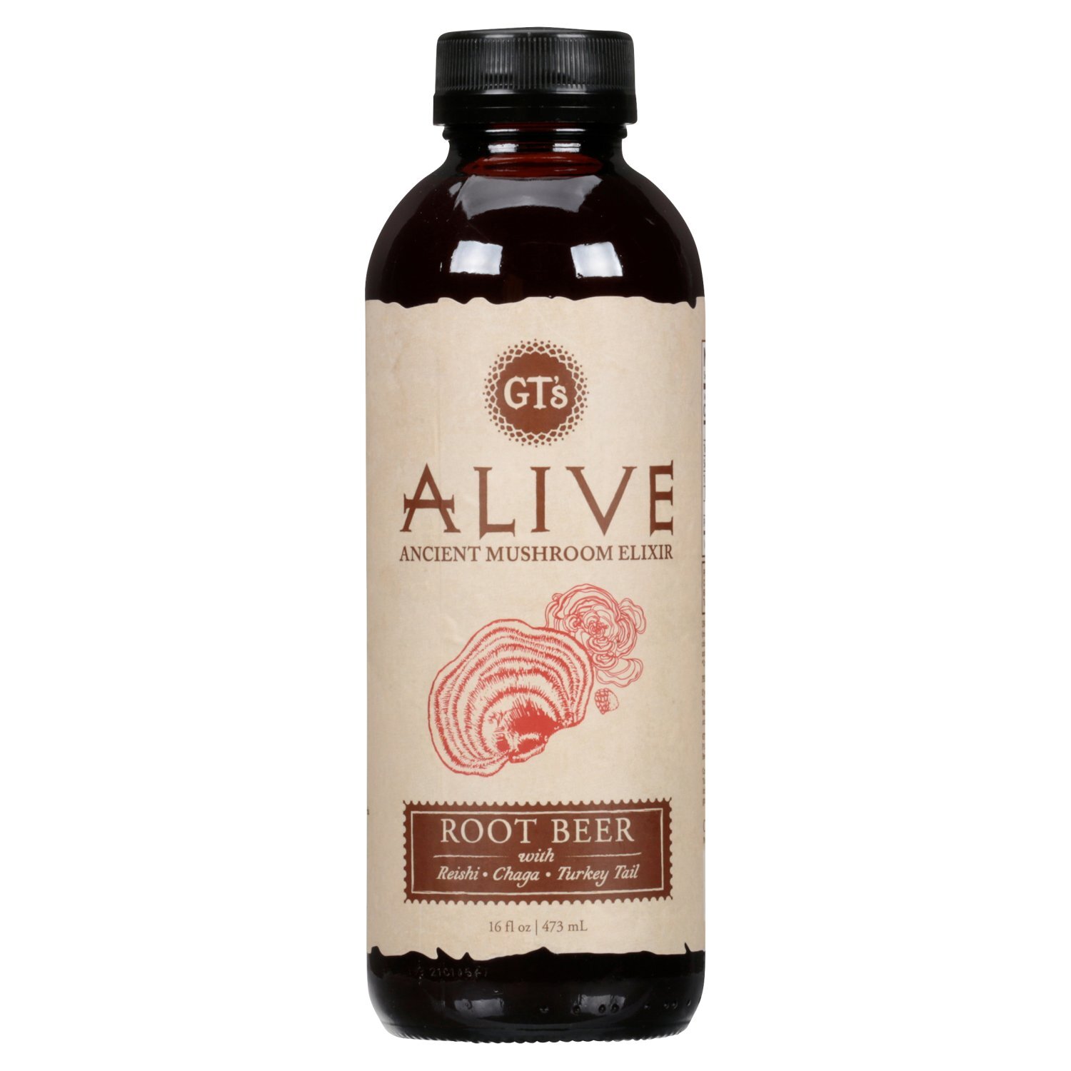 GT's Alive Root Beer Ancient Mushroom Elixir, 16 fl oz - Fairway