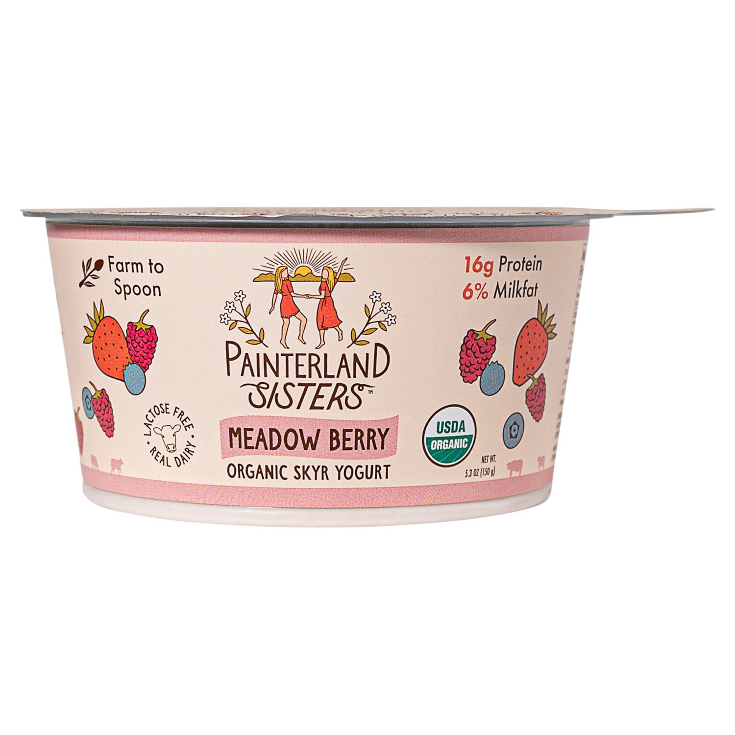 Painterland Sisters Meadow Berry Organic Skyr Yogurt, 5.3 oz - Fairway